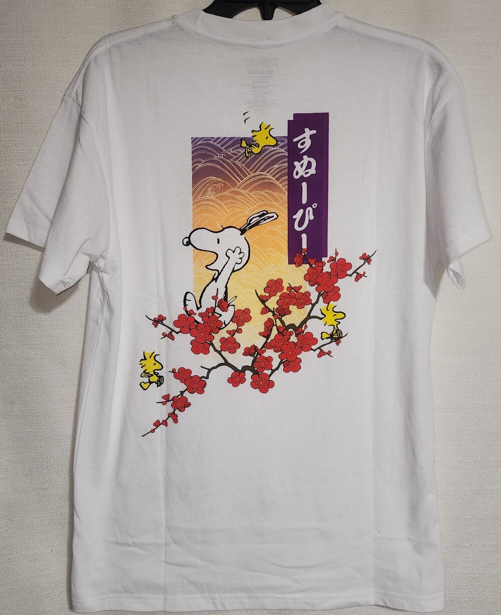 Snoopy and Woodstock men's medium shirt-First picture back of shirt